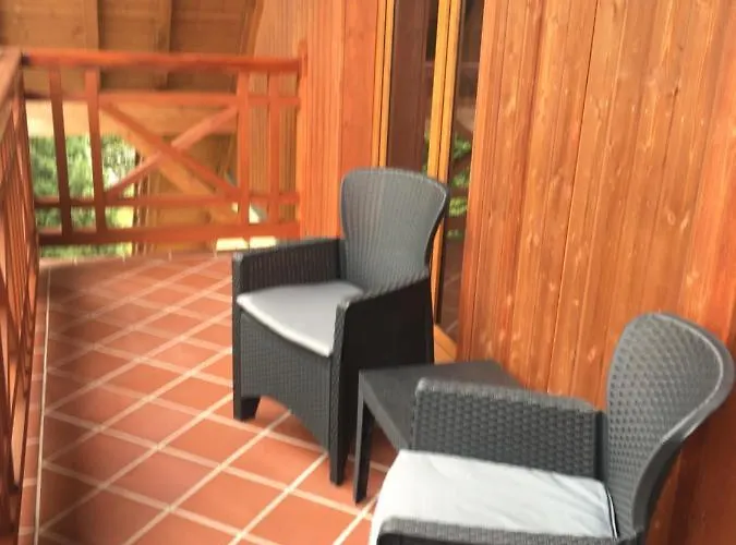 Urocza Przy Wyciągu Arena Apartament *