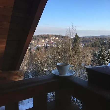 Lejlighed Urocza Przy Wyciagu Arena *