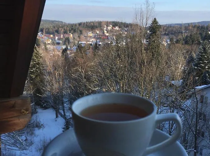 Lejlighed Urocza Przy Wyciagu Arena *