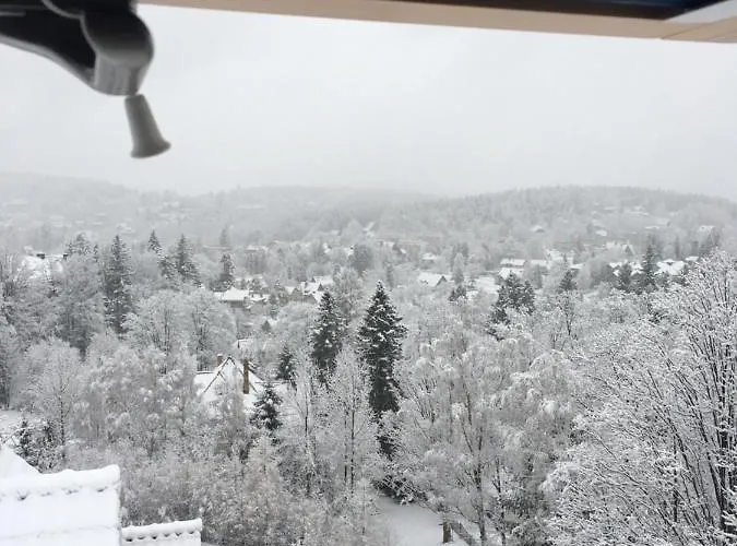 Lejlighed Urocza Przy Wyciagu Arena *